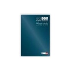 ISO 9001 Small Business