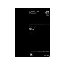 ISO 7005-1:1992