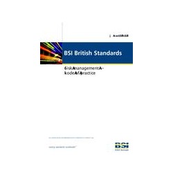 BS 31100:2008