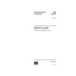 ISO 11011:2013