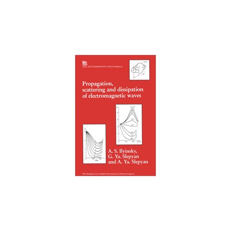 Propagation, Scattering and Dissipation of Electromagnetic Waves