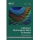 Scattering of Electromagnetic Waves by Obstacles