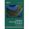 Scattering of Electromagnetic Waves by Obstacles