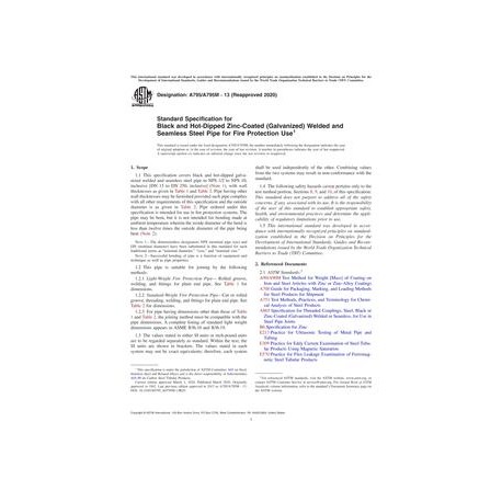 ASTM A795/A795M-13(2020)