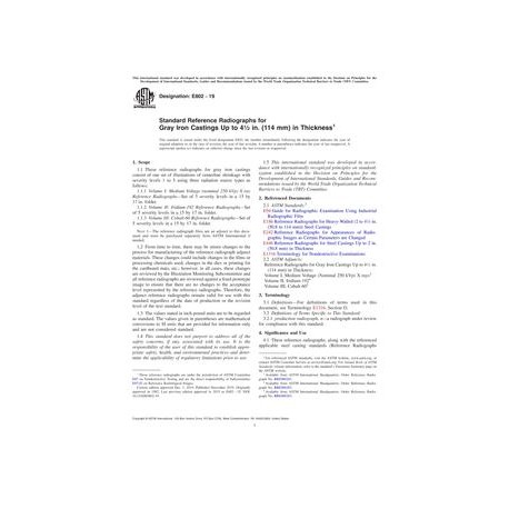 ASTM E802-19