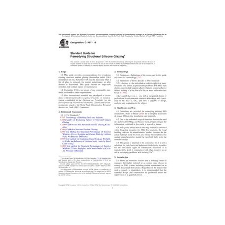 ASTM C1487-19