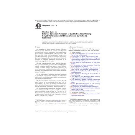 ASTM G218-19
