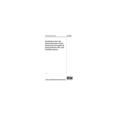 BS PD ISO/TR 20432:2007