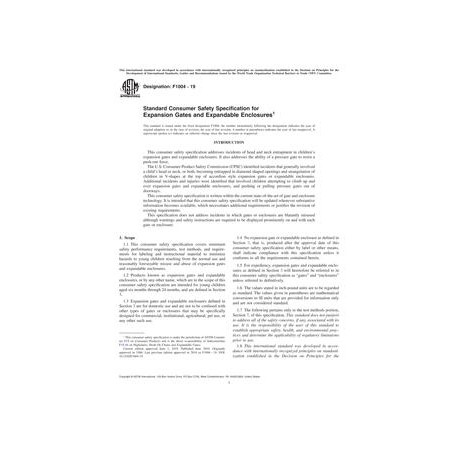 ASTM F1004-19