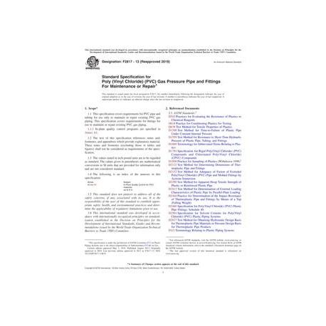 ASTM F2817-13(2019)