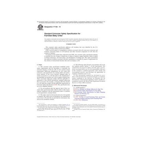 ASTM F1169-19