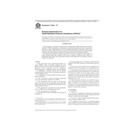 ASTM F2456-19e1