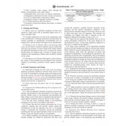 ASTM F3121/F3121M-17e1