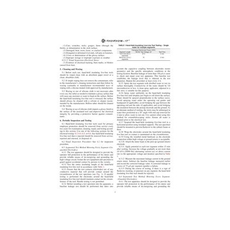 ASTM F3121/F3121M-17e1