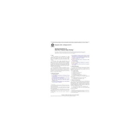 ASTM A905-04(2017)