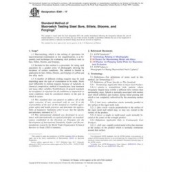 ASTM E381-17