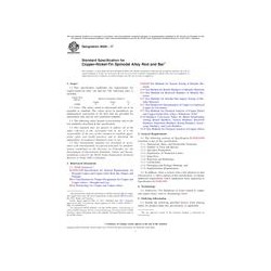 ASTM B929-17