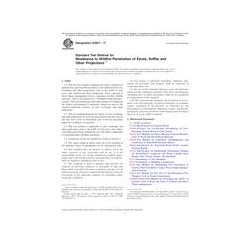 ASTM E2957-17
