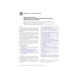 ASTM F2818-10(2014)e1