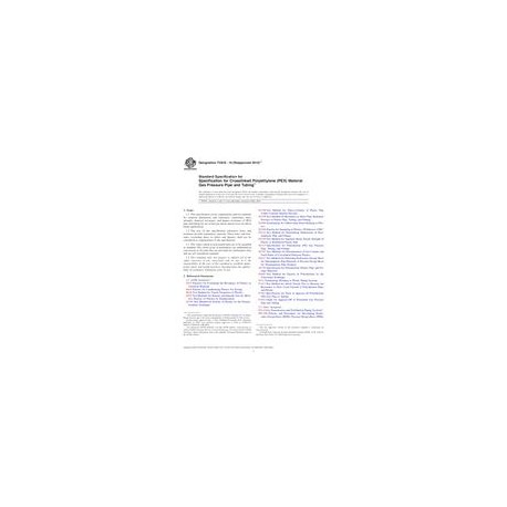 ASTM F2818-10(2014)e1