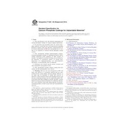 ASTM F1609-08(2014)