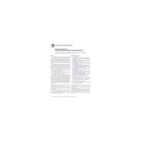 ASTM F1609-08(2014)