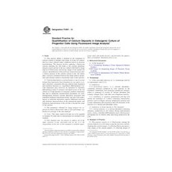 ASTM F2997-13