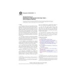 ASTM E2905/E2905M-13