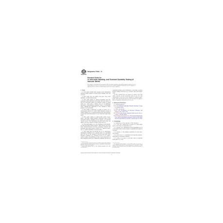 ASTM F2942-13