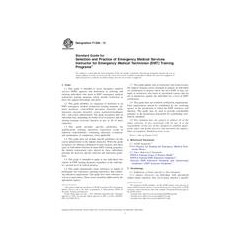 ASTM F1256-13