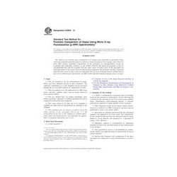 ASTM E2926-13