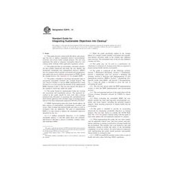 ASTM E2876-13