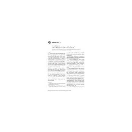 ASTM E2876-13