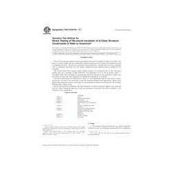 ASTM F2877/F2877M-13e1
