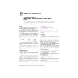 ASTM F2591-06(2013)