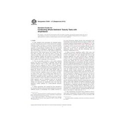ASTM E2591-07(2013)