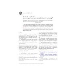 ASTM E2466-13