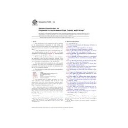 ASTM F2945-12a