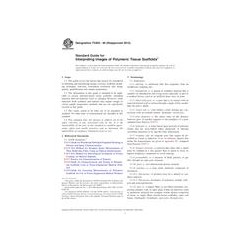 ASTM F2603-06(2012)