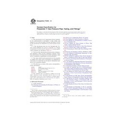 ASTM F2945-12