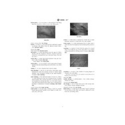 ASTM D3990-12e1