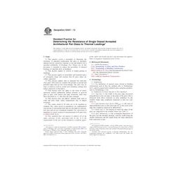 ASTM E2431-12