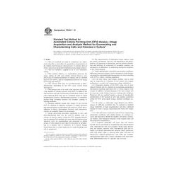 ASTM F2944-12