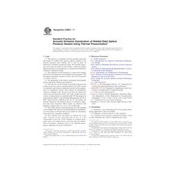 ASTM E2863-11