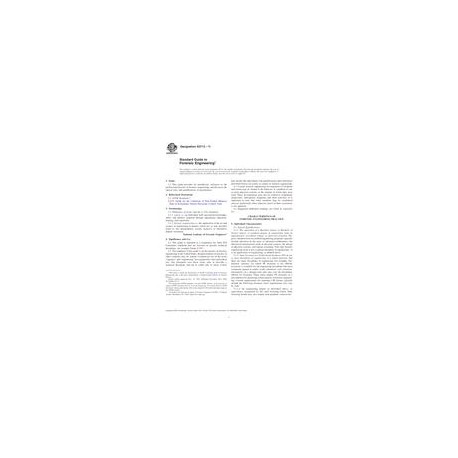 ASTM E2713-11