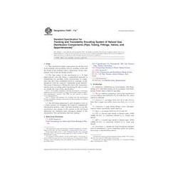 ASTM F2897-11ae1