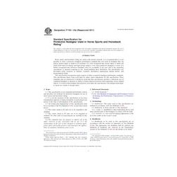 ASTM F1163-04a(2011)