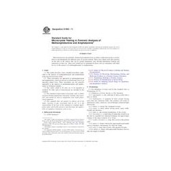 ASTM E1969-11