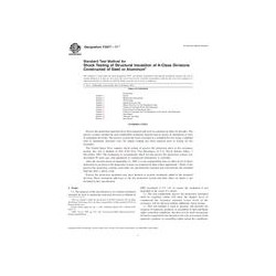 ASTM F2877-11e1