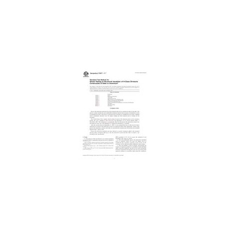 ASTM F2877-11e1